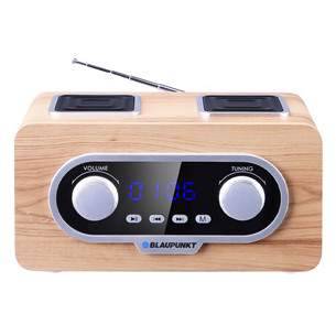 Blaupunkt Portable radio, helepruun - Kaasaskantav raadio PP5.2CR