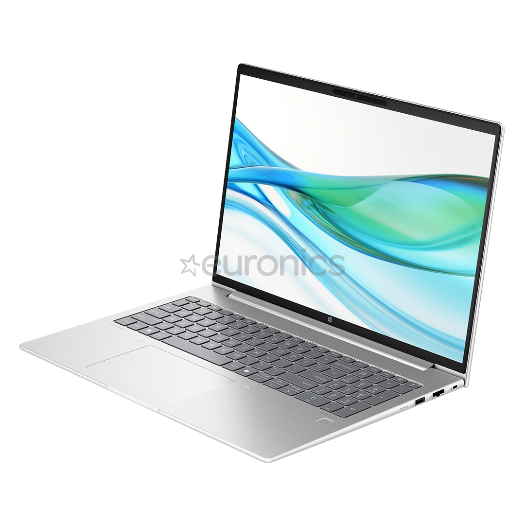 HP ProBook 465 G11, 16'', WUXGA, Ryzen 5, 16 GB, 512 GB, ENG, pike silver - Notebook
