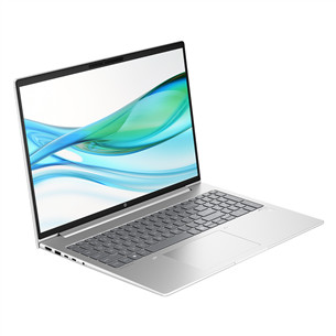 HP ProBook 465 G11, 16'', WUXGA, Ryzen 5, 16 GB, 512 GB, ENG, hõbedane - Sülearvuti