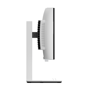 Lenovo Legion Pro 34WD-10, 34'', WQHD, OLED, 240 Hz, curved, black/white - Monitor