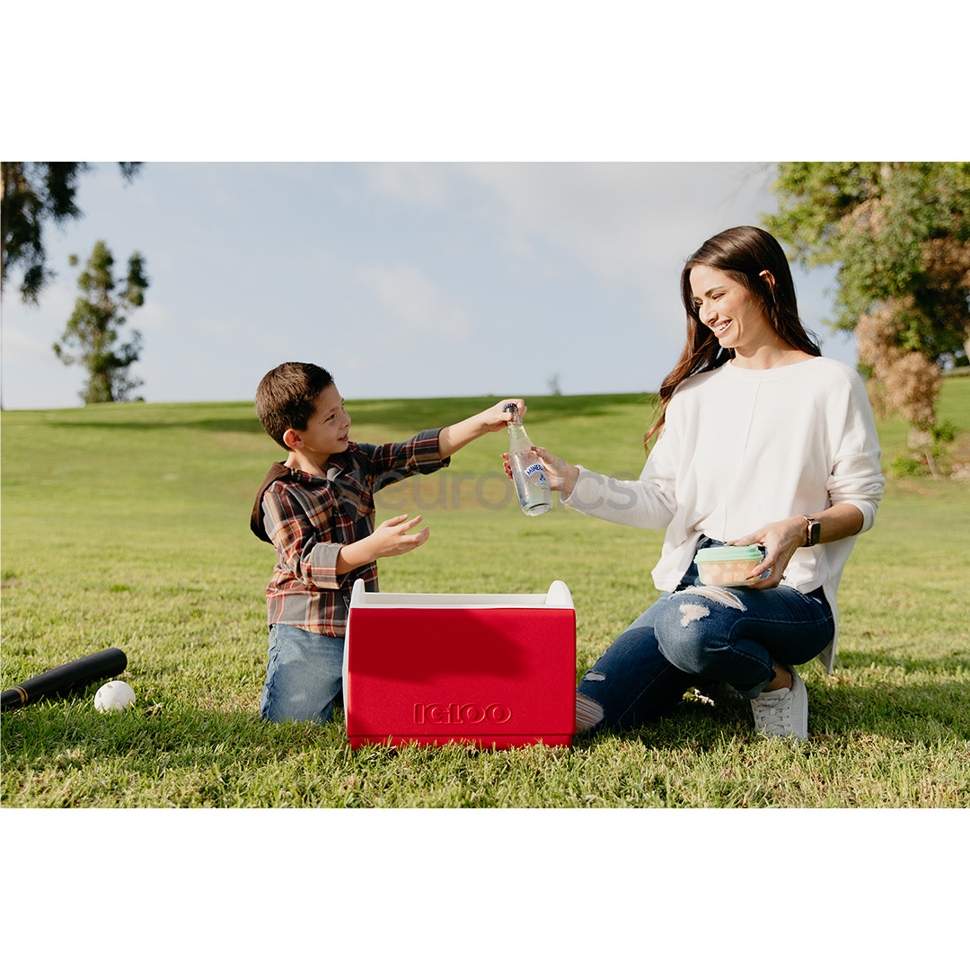 Igloo Playmate Elite, Red Star, 15 L, red - Cool box