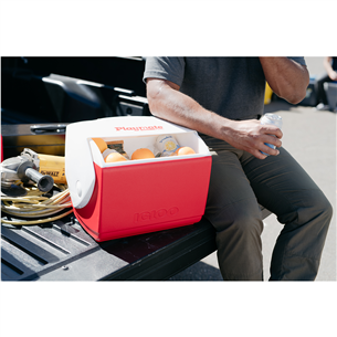 Igloo Playmate Elite, Red Star, 15 L, punane - Jahutuskast