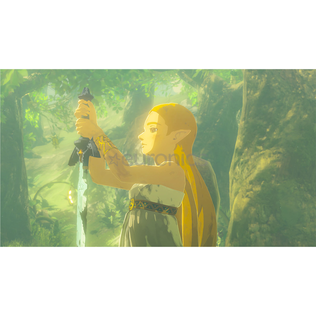 The Legend of Zelda: Breath of the Wild, Nintendo Switch 2 - Mäng