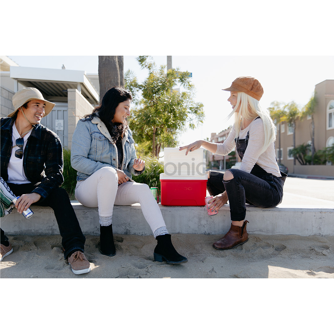 Igloo Laguna 9, Red Star 8 L, punane - Jahutuskast