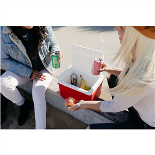 Igloo Laguna 9, Red Star 8 L, punane - Jahutuskast