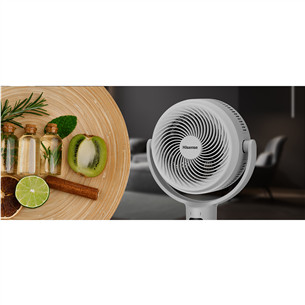 Hisense, white - Floor fan