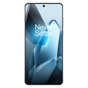 OnePlus 13, 16 ГБ, 512 ГБ, синий - Смартфон
