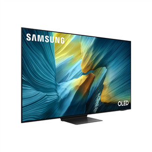 Samsung S95F, 65'', 4K UHD, OLED, graphite black - TV