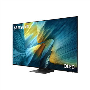 Samsung S95F, 65'', 4K UHD, OLED, graphite black - TV