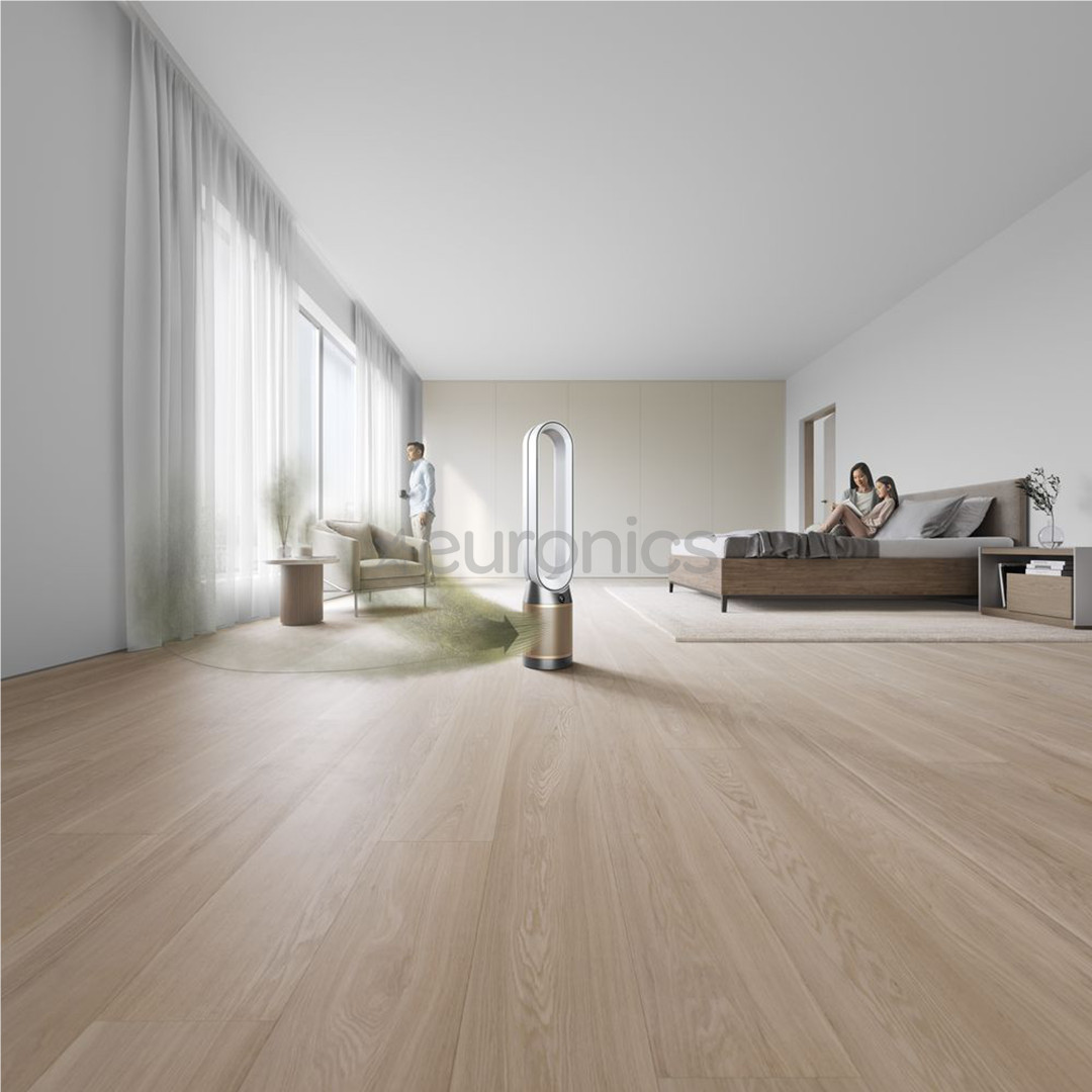 Dyson, valge/kuldne - Õhupuhasti