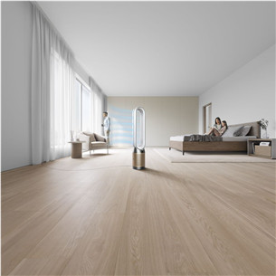 Dyson, valge/kuldne - Õhupuhasti