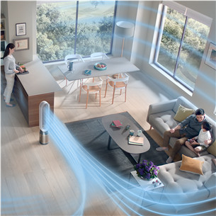 Dyson, valge/kuldne - Õhupuhasti