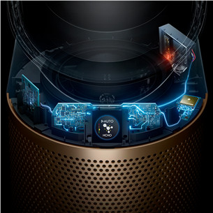 Dyson, valge/kuldne - Õhupuhasti