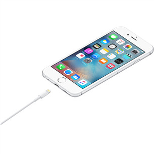 Apple Lightning to USB, 1 m, valge - Kaabel