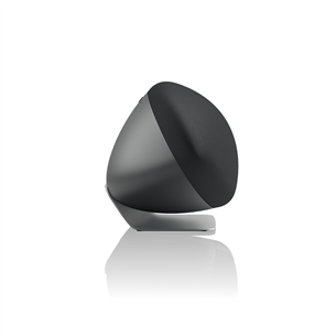 Bowers & Wilkins Zeppelin Pro Edition, серый - Домашняя колонка