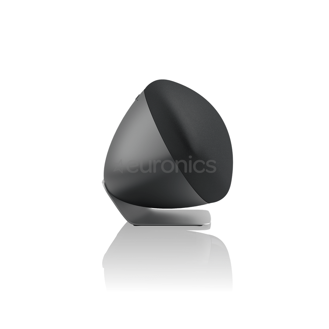 Bowers & Wilkins Zeppelin Pro Edition, серый - Домашняя колонка