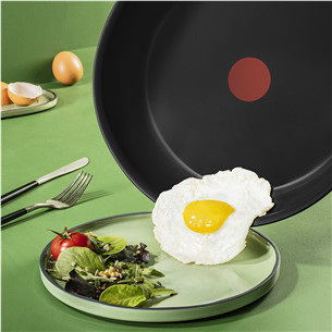 Tefal Renew, 20 cm, black - Frypan