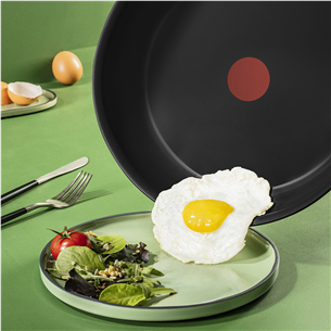 Tefal Renew, 20 cm, must - Praepann
