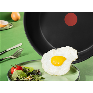 Tefal Renew, 24 cm, black - Frypan