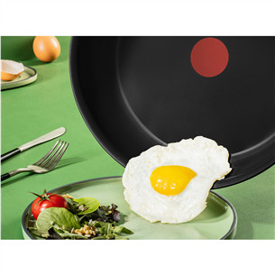 Tefal Renew, 28 cm, black - Frypan