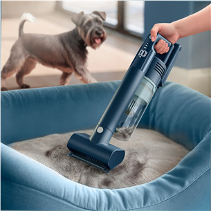 Philips 5000 seeria Flex, sinine - Varstolmuimeja