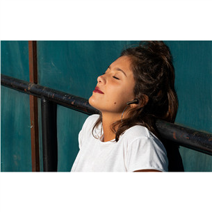 JBL Tune 245NC, black - True-Wireless Earbuds