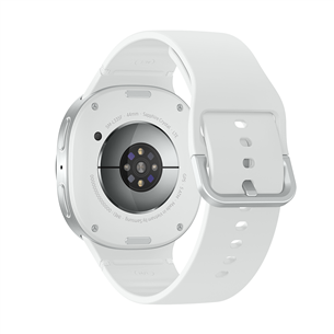 Samsung Galaxy Watch8, 44 mm, LTE, silver - Smartwatch