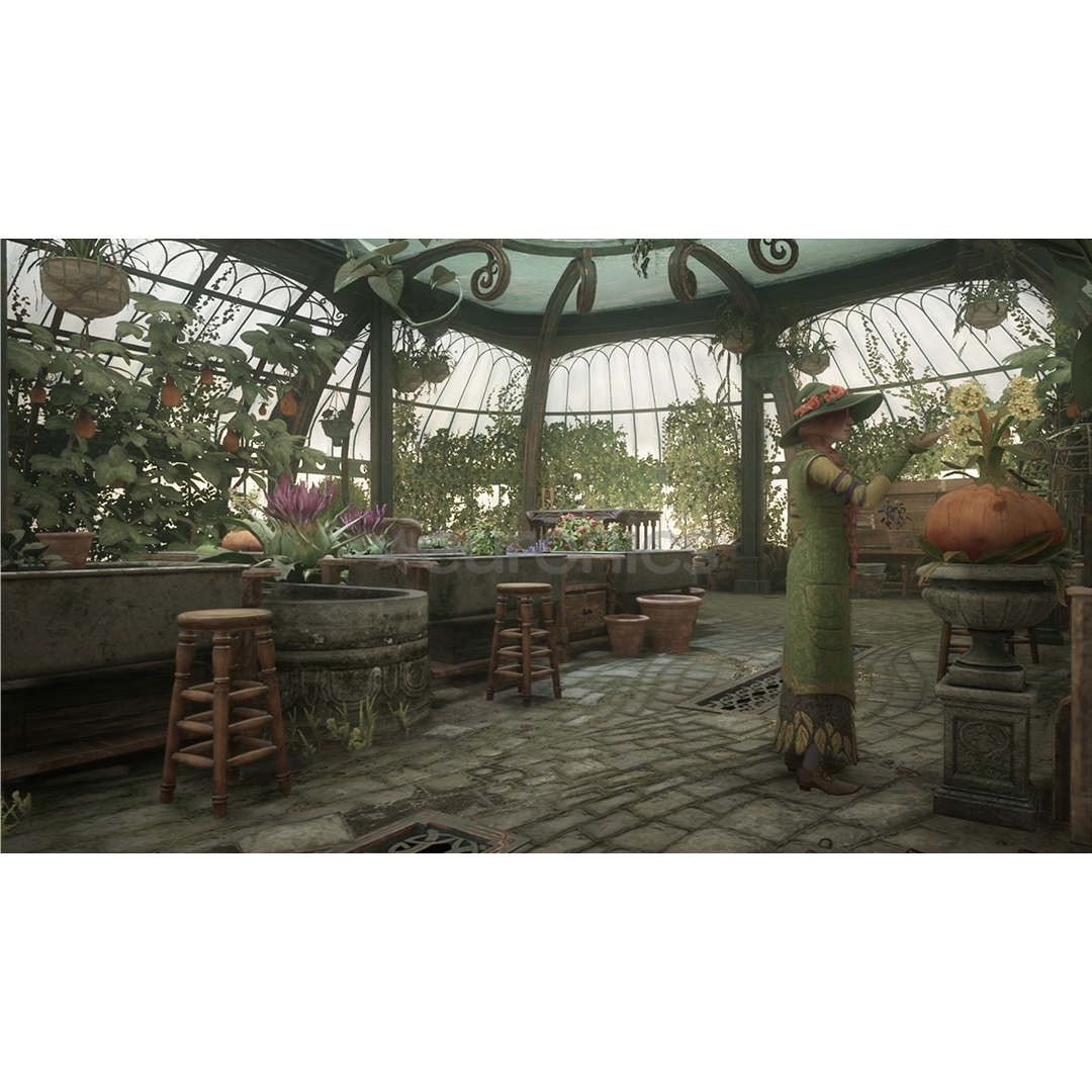 Hogwarts Legacy, Nintendo Switch 2 - Mäng