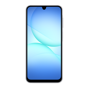 Samsung Galaxy A17 5G, 128GB, hall - Nutitelefon