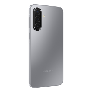 Samsung Galaxy A17 5G, 128GB, hall - Nutitelefon