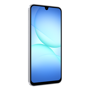 Samsung Galaxy A17 5G, 128GB, hall - Nutitelefon