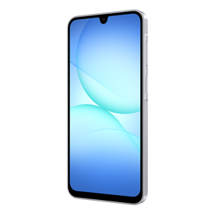 Samsung Galaxy A17 5G, 128GB, hall - Nutitelefon