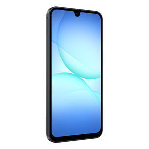 Samsung Galaxy A17 5G, 128GB, black - Smartphone