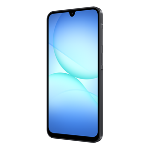 Samsung Galaxy A17 5G, 128GB, black - Smartphone