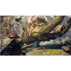 Wild Hearts S, Nintendo Switch 2 - Mäng