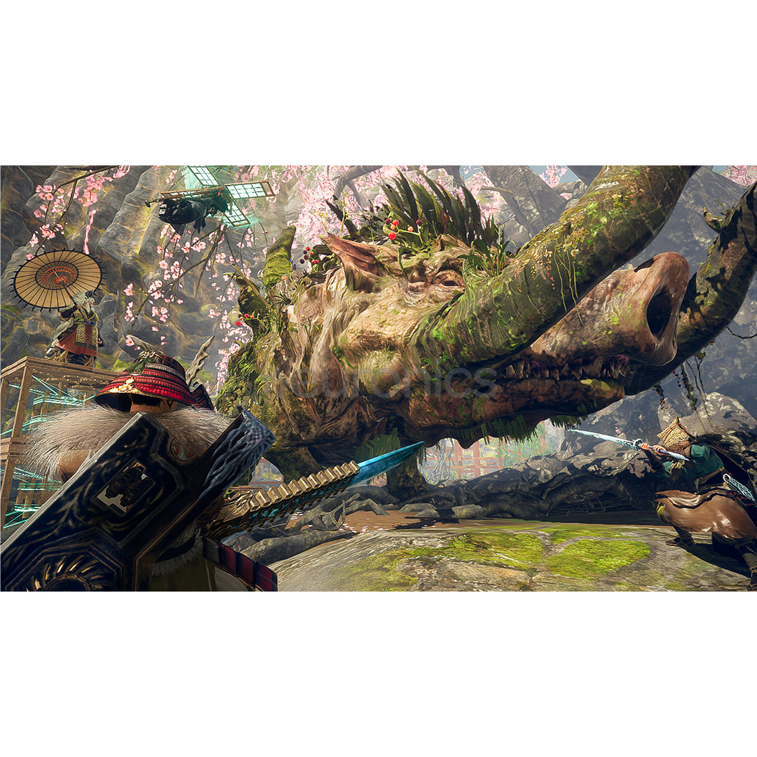 Wild Hearts S, Nintendo Switch 2 - Mäng