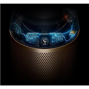 Dyson Purifier Cool PC2 De-NOx, valge/kuldne - Õhupuhasti ventilaatoriga