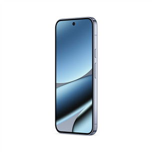 Google Pixel 10 Pro XL, 256 ГБ, серый - Смартфон