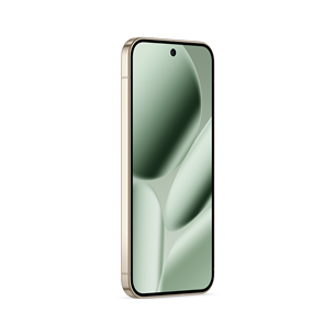 Google Pixel 10 Pro XL, 256 GB, roheline - Nutitelefon
