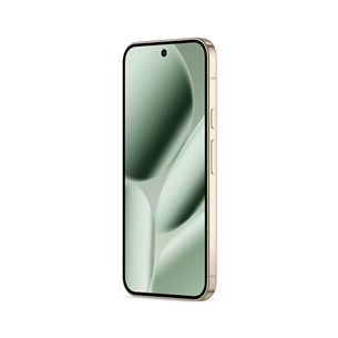 Google Pixel 10 Pro XL, 256 GB, roheline - Nutitelefon