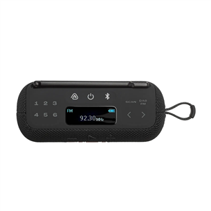 JBL Tuner 3, must - Kaasaskantav raadio