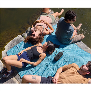 JBL Tuner 3, must - Kaasaskantav raadio