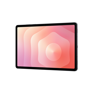 Samsung Galaxy Tab S11, 256 GB, WiFi, hall - Tahvelarvuti
