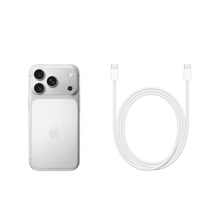 Apple iPhone 17 Pro, 1 ТБ, серебристый - Смартфон