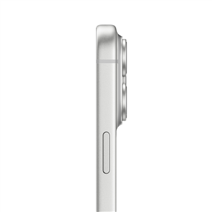 Apple iPhone 17 Pro Max, 256 GB, silver - Smartphone