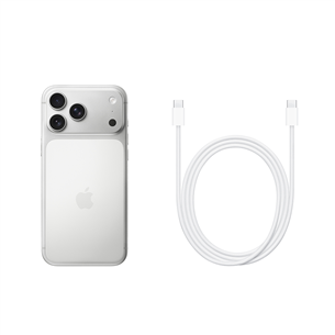Apple iPhone 17 Pro Max, 256 GB, silver - Smartphone