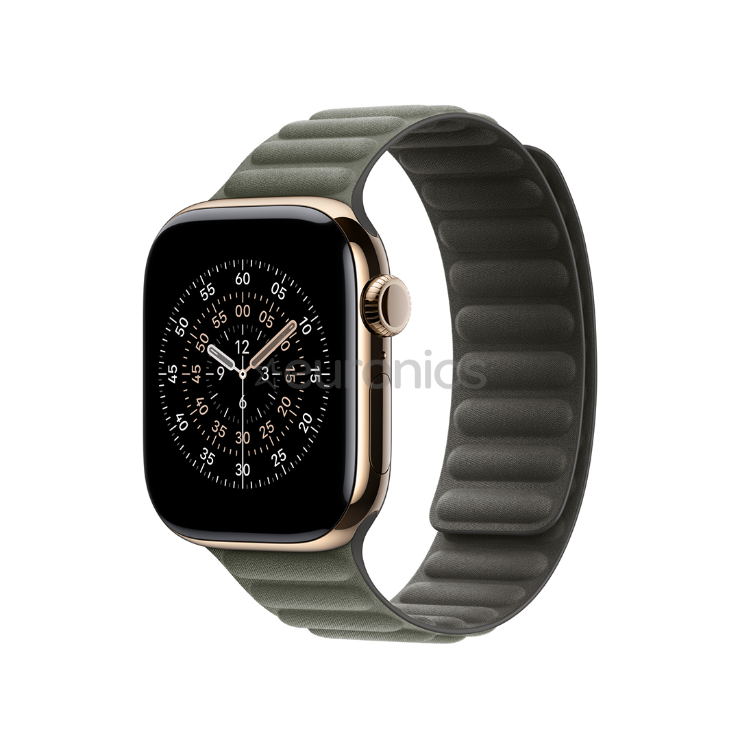 Apple Magnetic Link, 46 mm, S/M, hall - Kellarihm