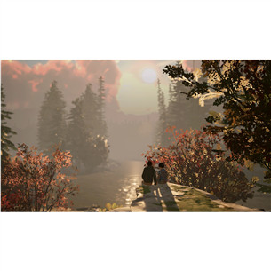 Life is Strange 2, Nintendo Switch - Game