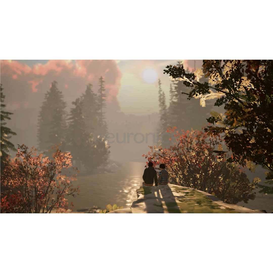 Life is Strange 2, Nintendo Switch - Game