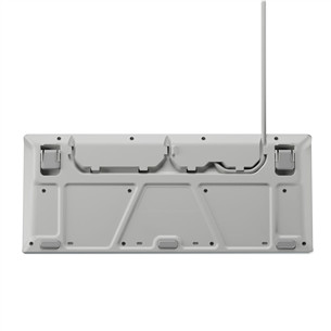 SteelSeries Apex 3 TKL, SWE, valge - Klaviatuur